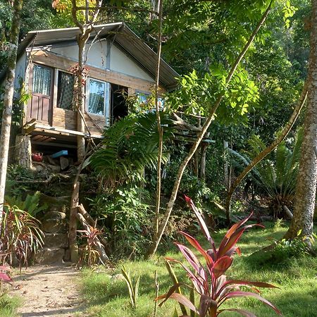 Sumatra Ecolodge Sungaipisang Extérieur photo