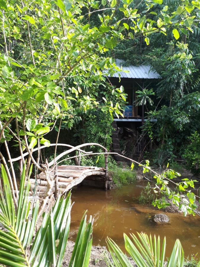 Sumatra Ecolodge Sungaipisang Extérieur photo