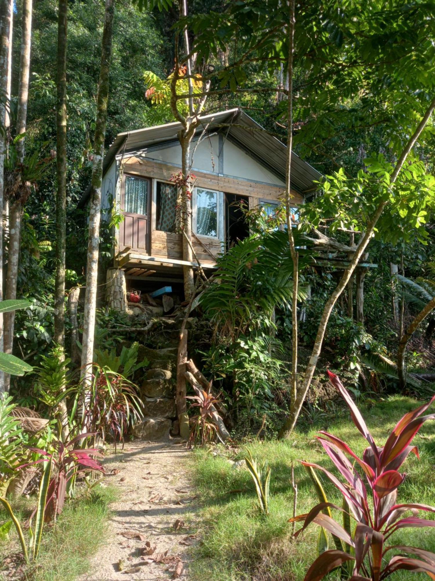 Sumatra Ecolodge Sungaipisang Extérieur photo