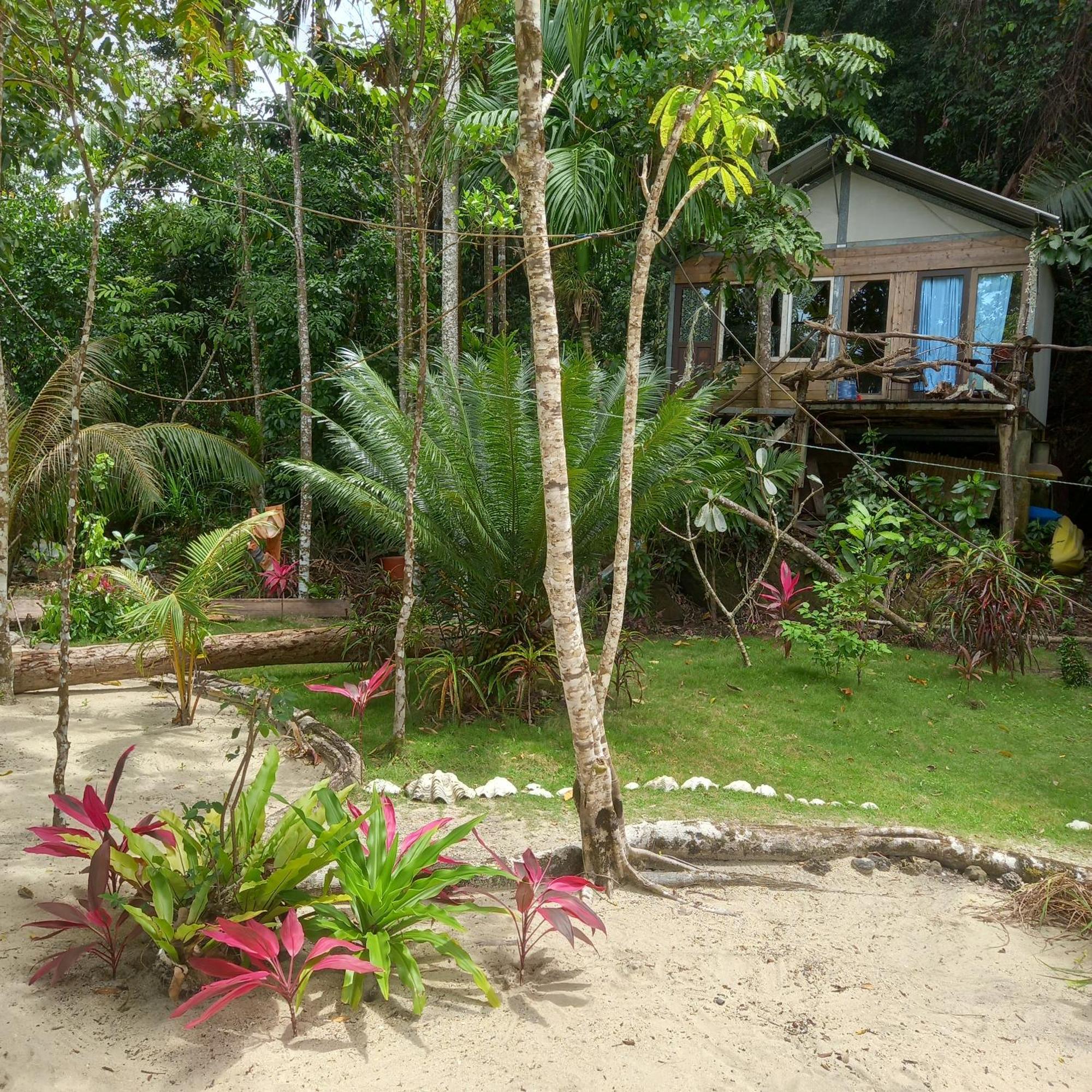 Sumatra Ecolodge Sungaipisang Chambre photo